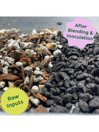 Rosy Soil Cactus & Succulent Mix