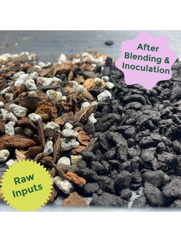 Rosy Soil Cactus & Succulent Mix