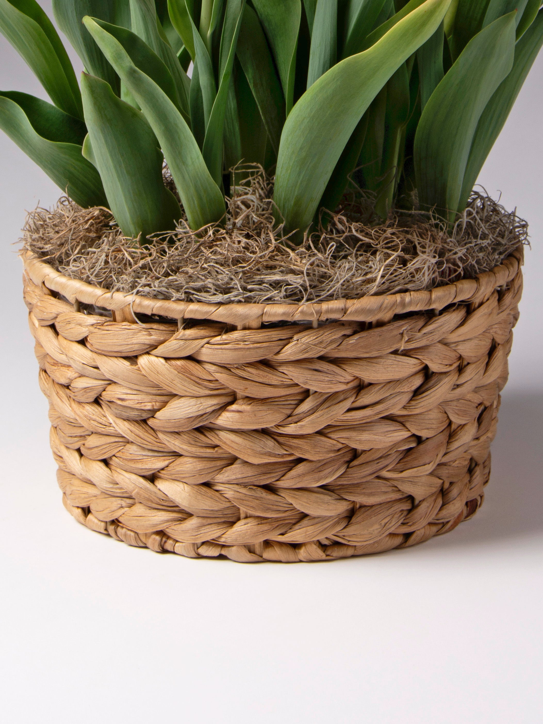 water hyacinth plant pot Woven Water Hyacinth Basket