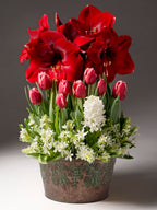 A floral arrangement of red amaryllis, pink tulips, and white hyacinths in a decorative embossed metal pot, photographed against a neutral gray studio background.