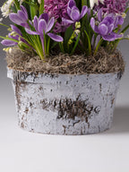 Four Months of Wild Spring Meadows Gardens