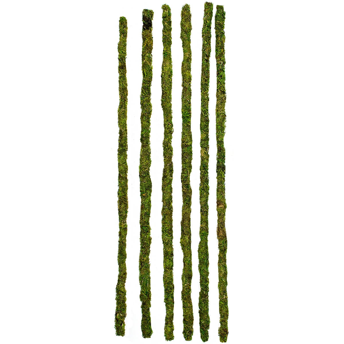 Set of green moss-covered sticks on a white background