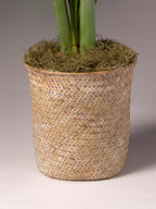 Whitewashed Seagrass Basket
