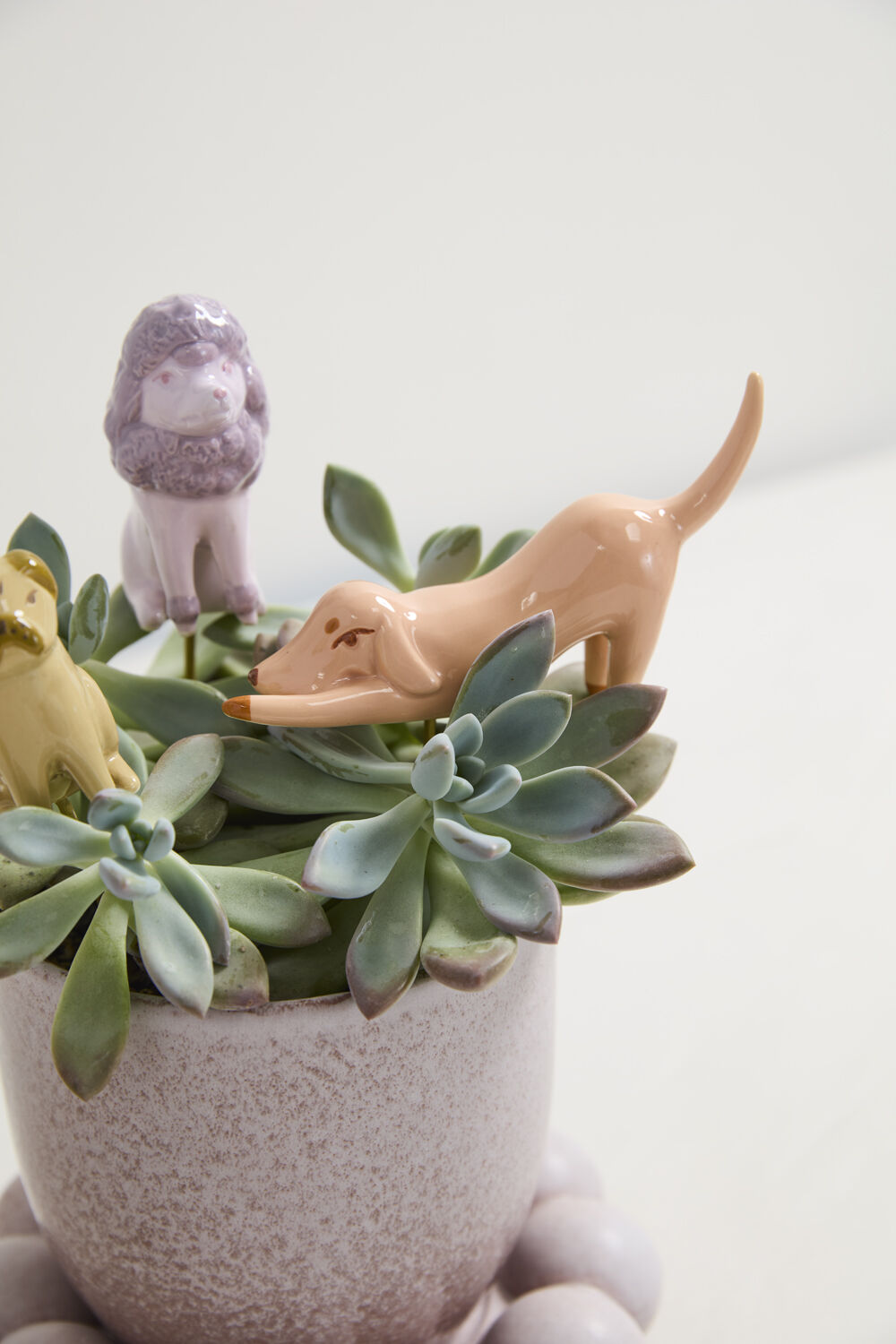 A close-up of a speckled light pink ceramic planter filled with green succulent plants and small pastel ceramic dog figurines, set against a clean white background.