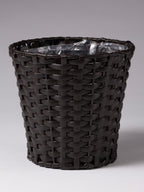 Potted Paperwhite Narcissus - Small