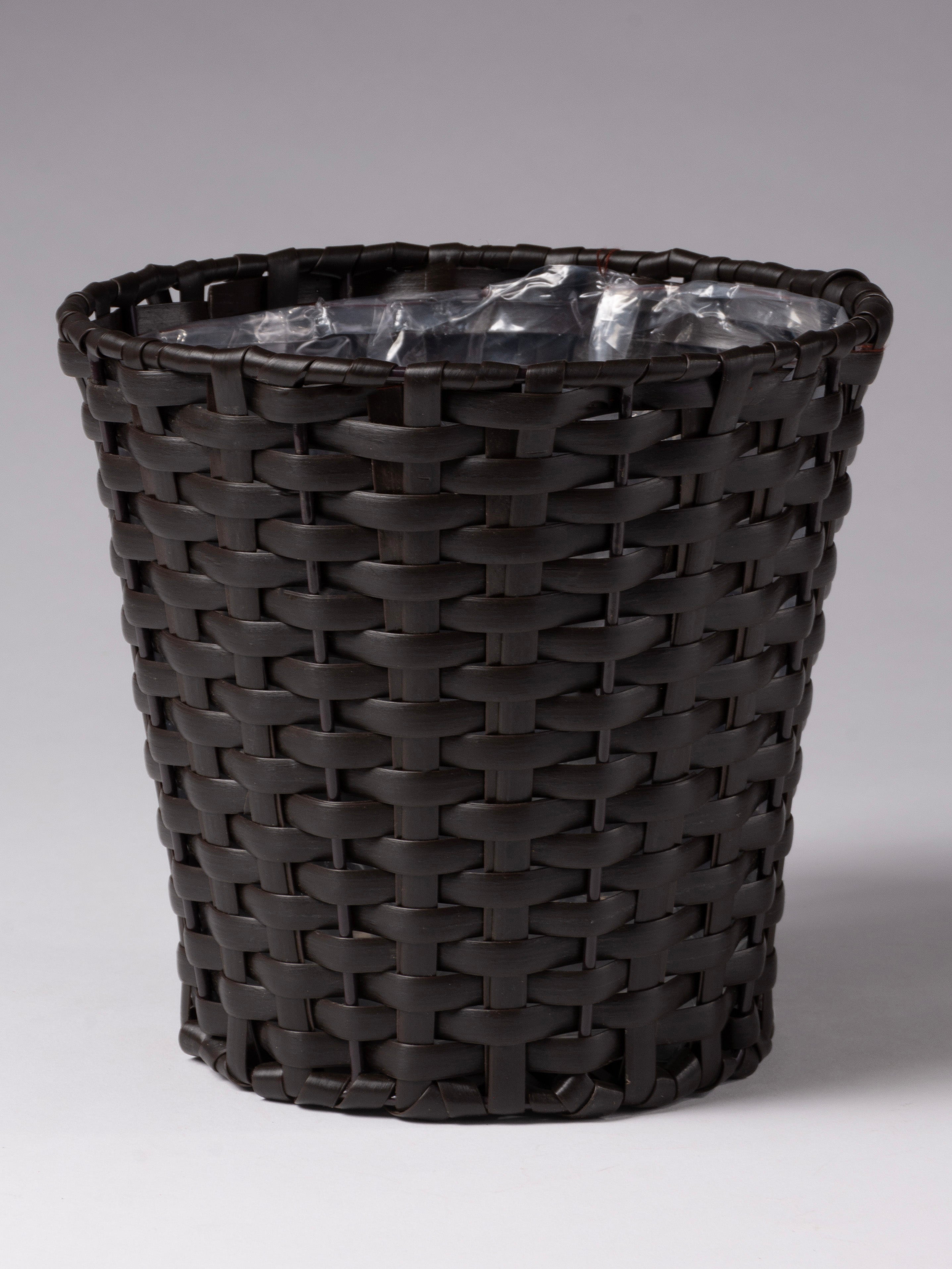 Potted Paperwhite Narcissus - Small