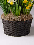 Four Months of Color Story Gardens