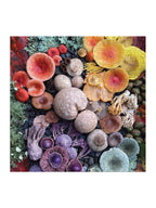 Shrooms in Bloom 500 Piece Puzzle
