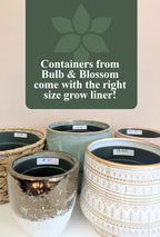 Ceramic w/ Geometric Tree Print