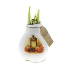 A white waxed amaryllis bulb with a printed autumn design featuring a lantern, pumpkins, and fall leaves. Fresh green amaryllis buds are sprouting, and a brown paper hangtag is attached to the side.