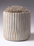 Grey & Gold Cement Pot