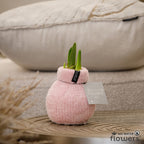A waxed amaryllis bulb sitting on a brown sofa and covered in soft pink chenille, with green amaryllis buds emerging.