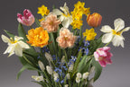 The Angelface Mixed Bulb Garden showcases assorted spring flowers—yellow daffodils, orange and pink tulips, peach daffodils, white blooms, and small blue blossoms—arranged beautifully against a plain gray background.