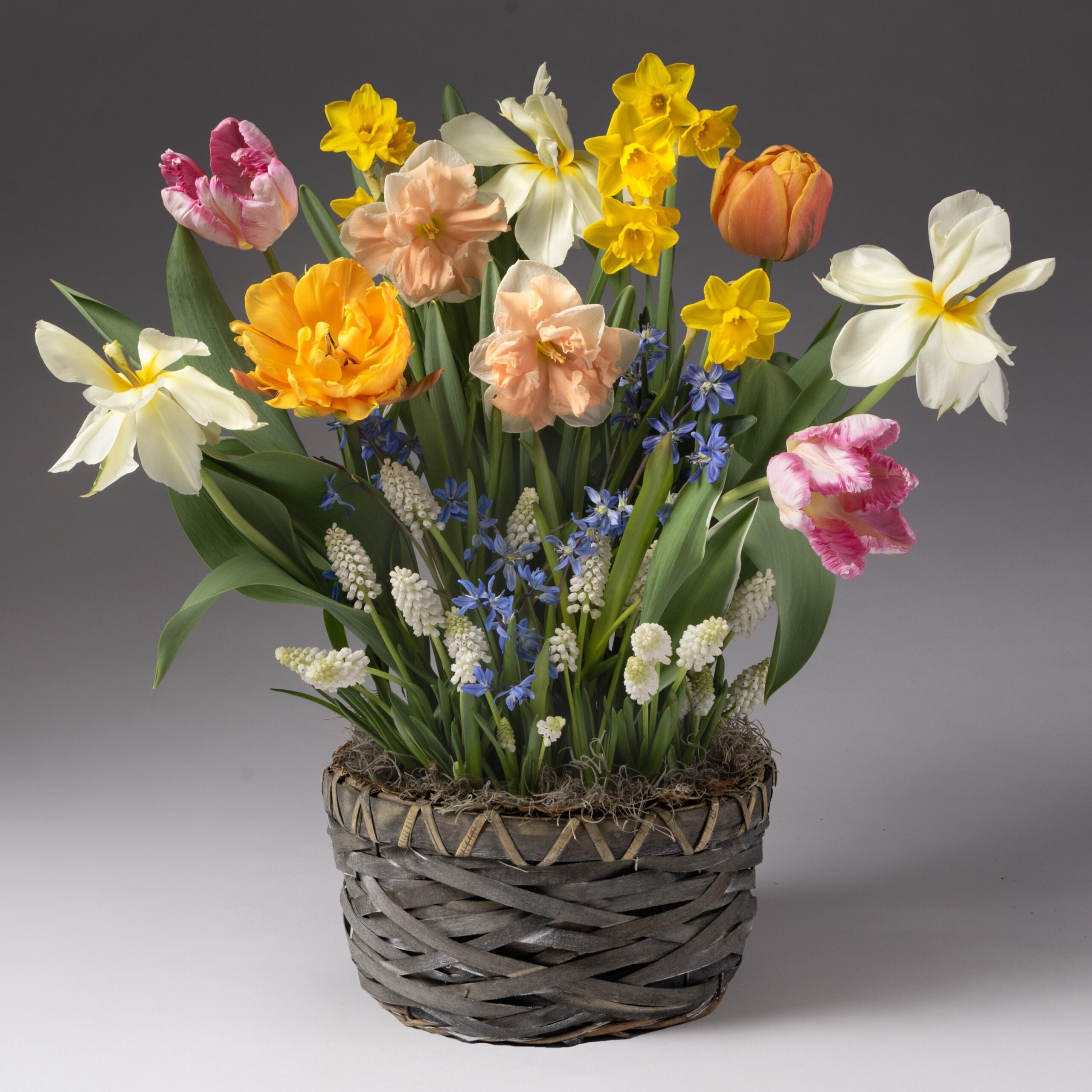 The Angelface Mixed Bulb Garden comes in a woven basket, featuring tulips, daffodils, and spring blooms in yellow, white, peach, pink, and blue for a vibrant display against a neutral background.