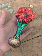 Bulb & Blossom's Blooming Amaryllis Bulb Ornaments capture the beauty of amaryllis in hand painted glass. 6" long, with red or pink flowers.