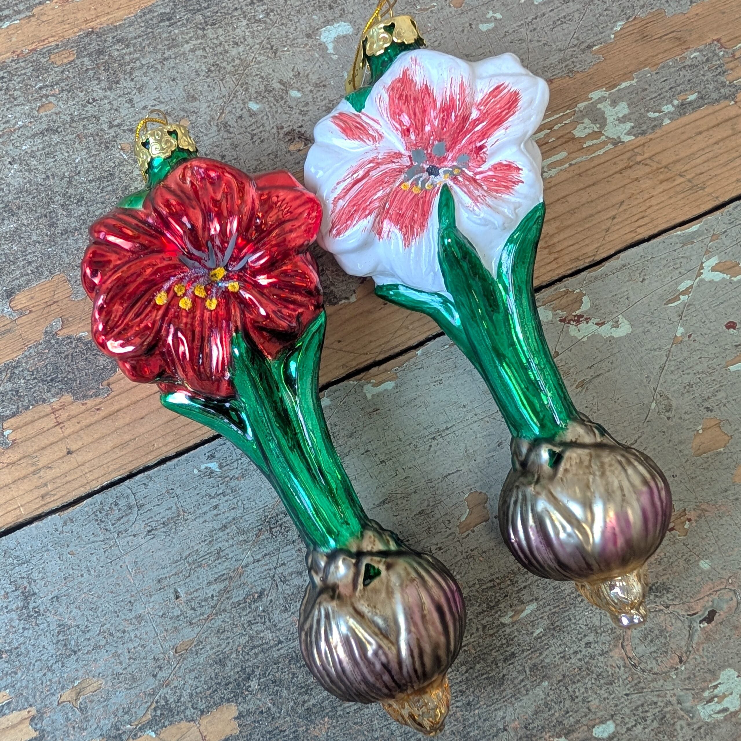 Bulb & Blossom's Blooming Amaryllis Bulb Ornaments capture the beauty of amaryllis in hand painted glass. 6" long, with red or pink flowers.