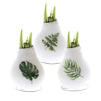 Three white, teardrop-shaped vases with green shoots emerging from the top. Each vase has a unique fern or leaf print on its surface: a monstera leaf, a fern frond, and a different fern-like leaf. Reminiscent of waxed amaryllis bulbs, the product is set against a plain white background. Three white wax-covered flower bulbs are displayed in a row, each with sprouting green shoots. The bulbs are decorated with images of green foliage: a monstera leaf, a fern leaf, and a palm leaf, from left to right. Brands "