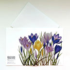 Watercolor crocus flower notecard with purple and yellow blooms.