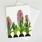 Bulb & Blossom's Hyacinth Notecard features a watercolor illustration of pink hyacinths with green foliage and bulbs, printed on linen-textured cardstock and blank inside