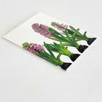 Pink hyacinth watercolor notecard from Bulb & Blossom.
