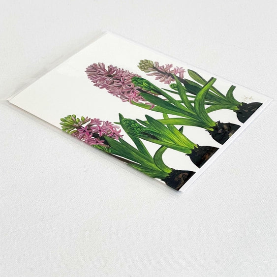 Pink hyacinth watercolor notecard from Bulb & Blossom.