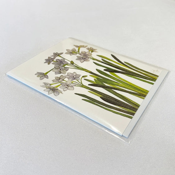 White paperwhite narcissus watercolor notecard from Bulb & Blossom.