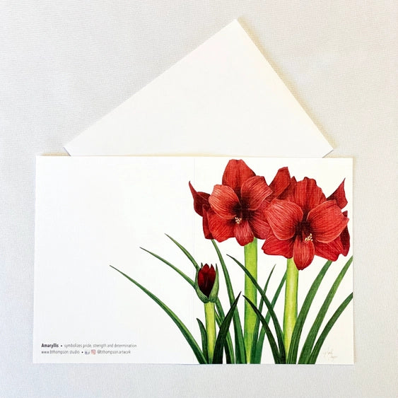 Red amaryllis watercolor notecard from Bulb & Blossom