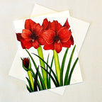 Bulb & Blossom's Red Amaryllis Notecard featuring watercolor artwork of bold red amaryllis blooms printed on linen-textured cardstock, blank inside with white envelope.