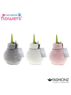 A trio of waxed amaryllis arranged in a row, each in a chenille covering in grey, white and pink. 'No Water Flowers' branding appears against the white background.