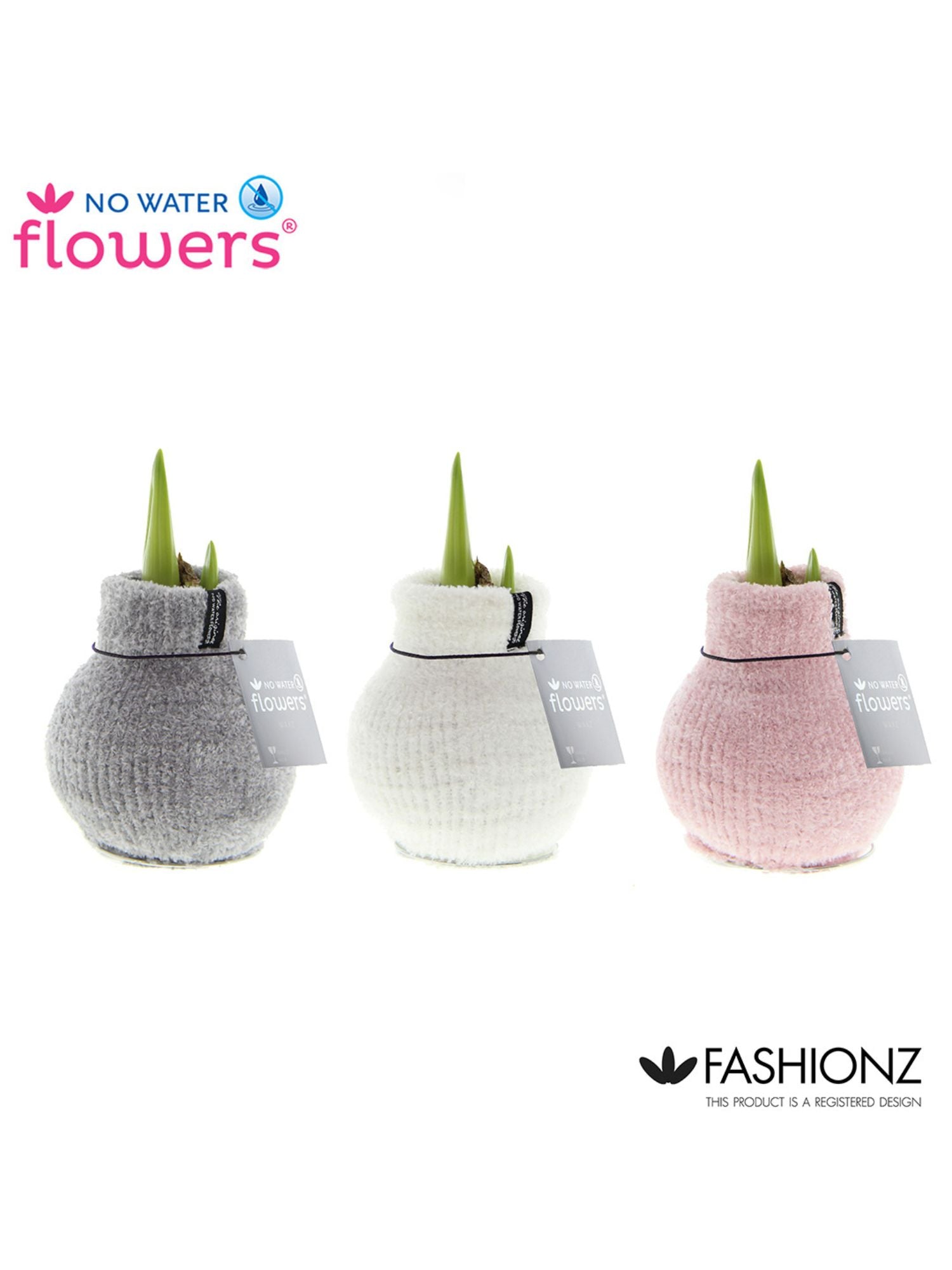 A trio of waxed amaryllis arranged in a row, each in a chenille covering in grey, white and pink. 'No Water Flowers' branding appears against the white background.