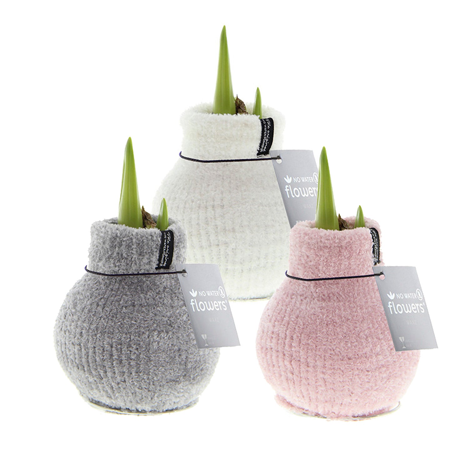 Three waxed amaryllis bulbs arranged in a pyramid and each covered in a chenille sheath in light grey, white, and pastel pink.