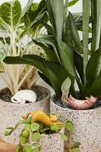 Collection of potted plants with decorative animal figures in a home setting