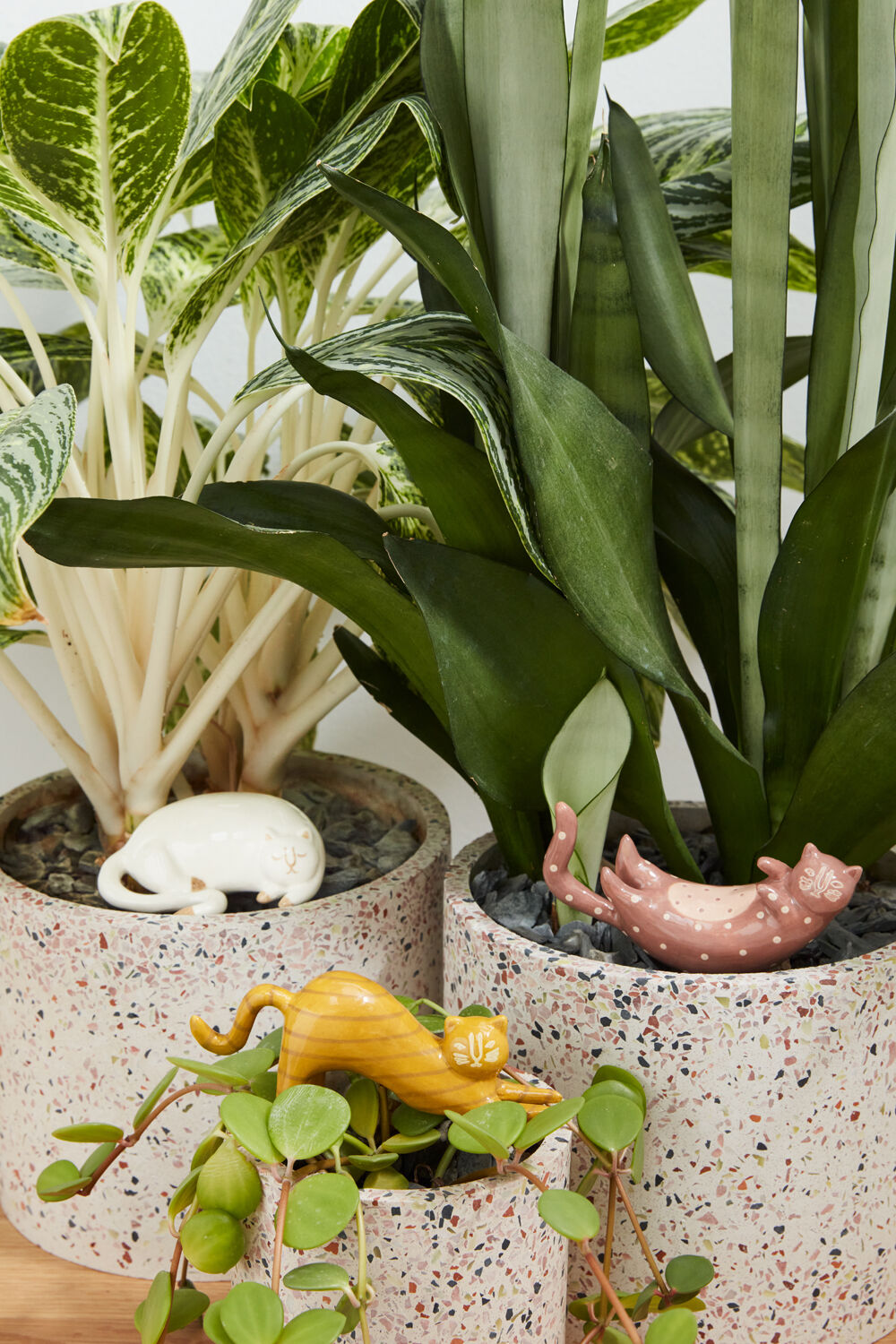 Collection of potted plants with decorative animal figures in a home setting