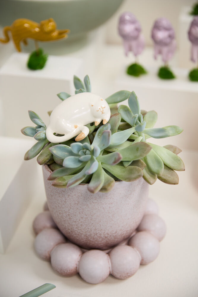 Small potted succulent plant with a white ceramic cat figurine on a light background