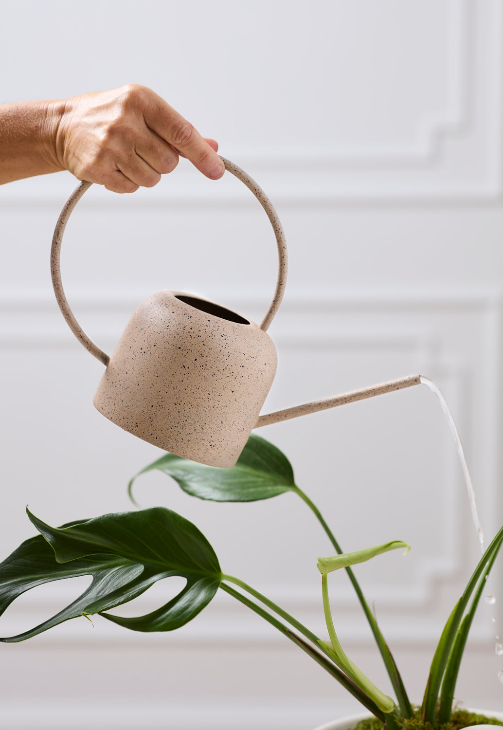 A hand holds a speckled beige metal watering can with a long spout and loop handle, watering a green plant against a white paneled wall.