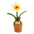 A smiling daffodil bulb in full bloom in a tiny paper pot is a cheerful floral gift.
