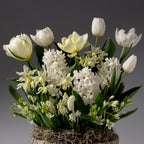 The Four Months of Color Story Gardens features white tulips, narcissus, hyacinths, and other white blooms with green leaves in a round container, all set against a simple gray background.