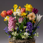 The Four Months of Wild Spring Meadows Gardens features vibrant spring flowers—tulips, daffodils, hyacinths, and more—arranged in a basket with lush green leaves and moss, set against a simple gray background.