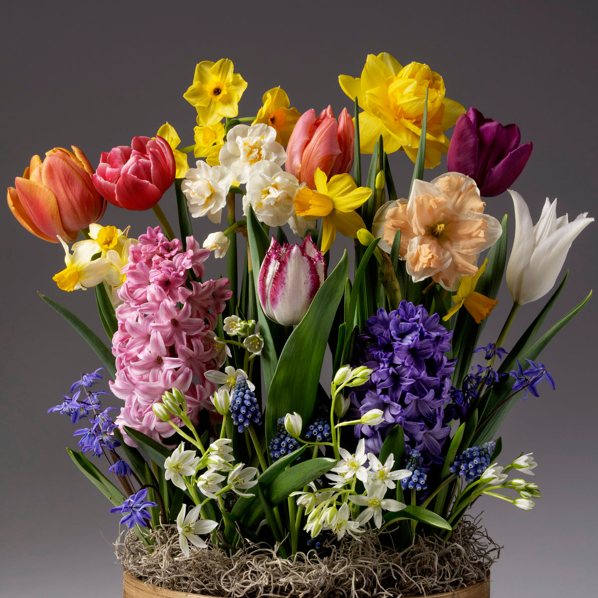 The Four Months of Wild Spring Meadows Gardens features vibrant spring flowers—tulips, daffodils, hyacinths, and more—arranged in a basket with lush green leaves and moss, set against a simple gray background.