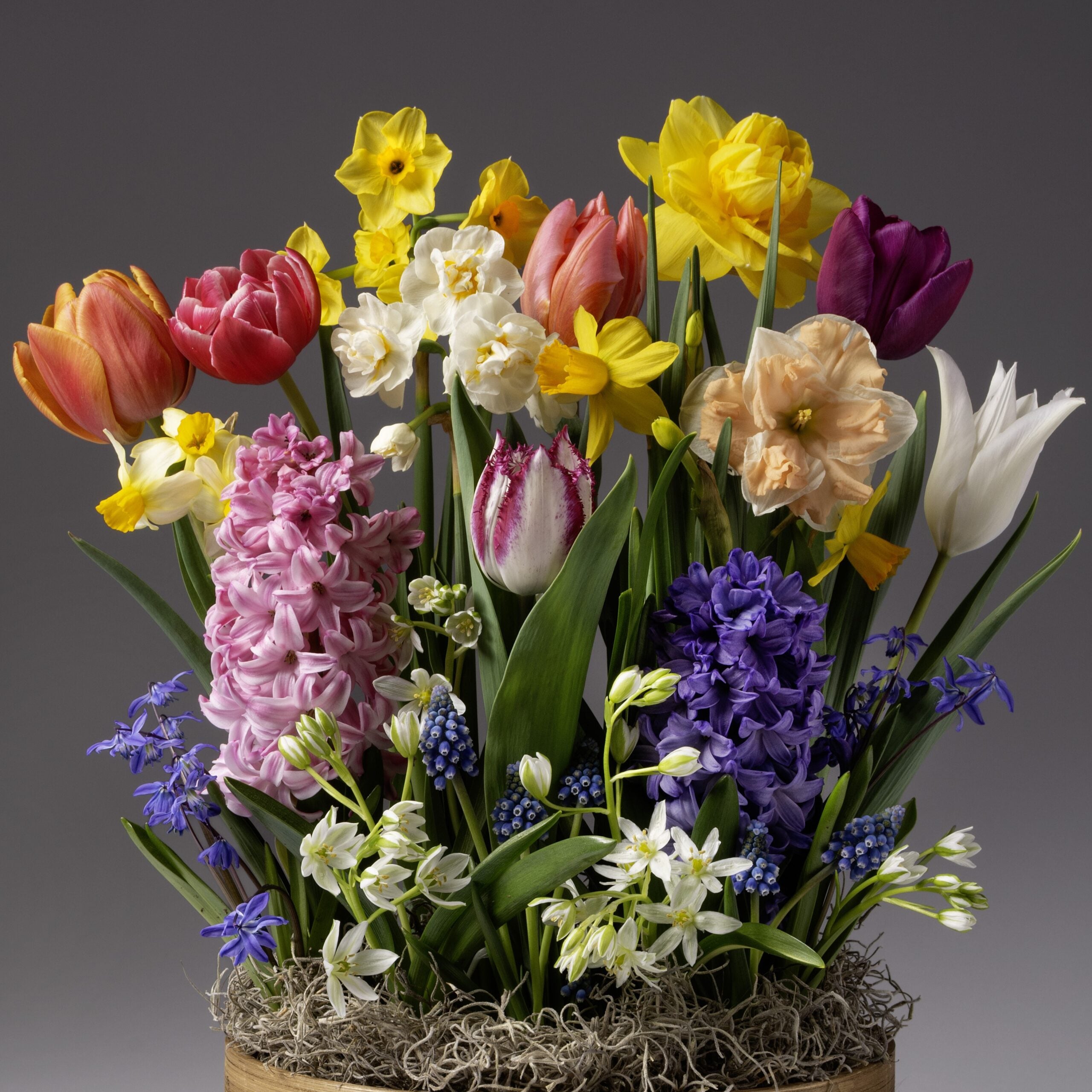 The Four Months of Wild Spring Meadows Gardens features vibrant spring flowers—tulips, daffodils, hyacinths, and more—arranged in a basket with lush green leaves and moss, set against a simple gray background.