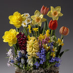 The Four Months of Wild Spring Meadows Gardens showcases lively spring blooms—daffodils, tulips, hyacinths, and more—in a charming arrangement set against a neutral gray background.