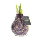 The purple and gold glitter amaryllis bulb from Bulb & Blossom's Galaxy Sparkle Waxed Amaryllis Bulb Trio will produce large red blooms with no soil or water required. An embedded gold metal stand will hold the bulb upright.