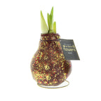 The red and gold glitter amaryllis bulb from Bulb & Blossom's Galaxy Sparkle Waxed Amaryllis Bulb Trio will produce large red blooms with no soil or water required. An embedded gold metal stand will hold the bulb upright.