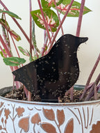 a black sticky gnat trap in the shape of a bird sticks out of a potted plant and is covered in several dozen trapped gnats.