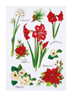 A white cotton kitchen towel featuring illustrations of classic holiday flowers.