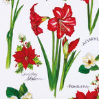 A kitchen towel featuring illustrations of classic holiday flowers.