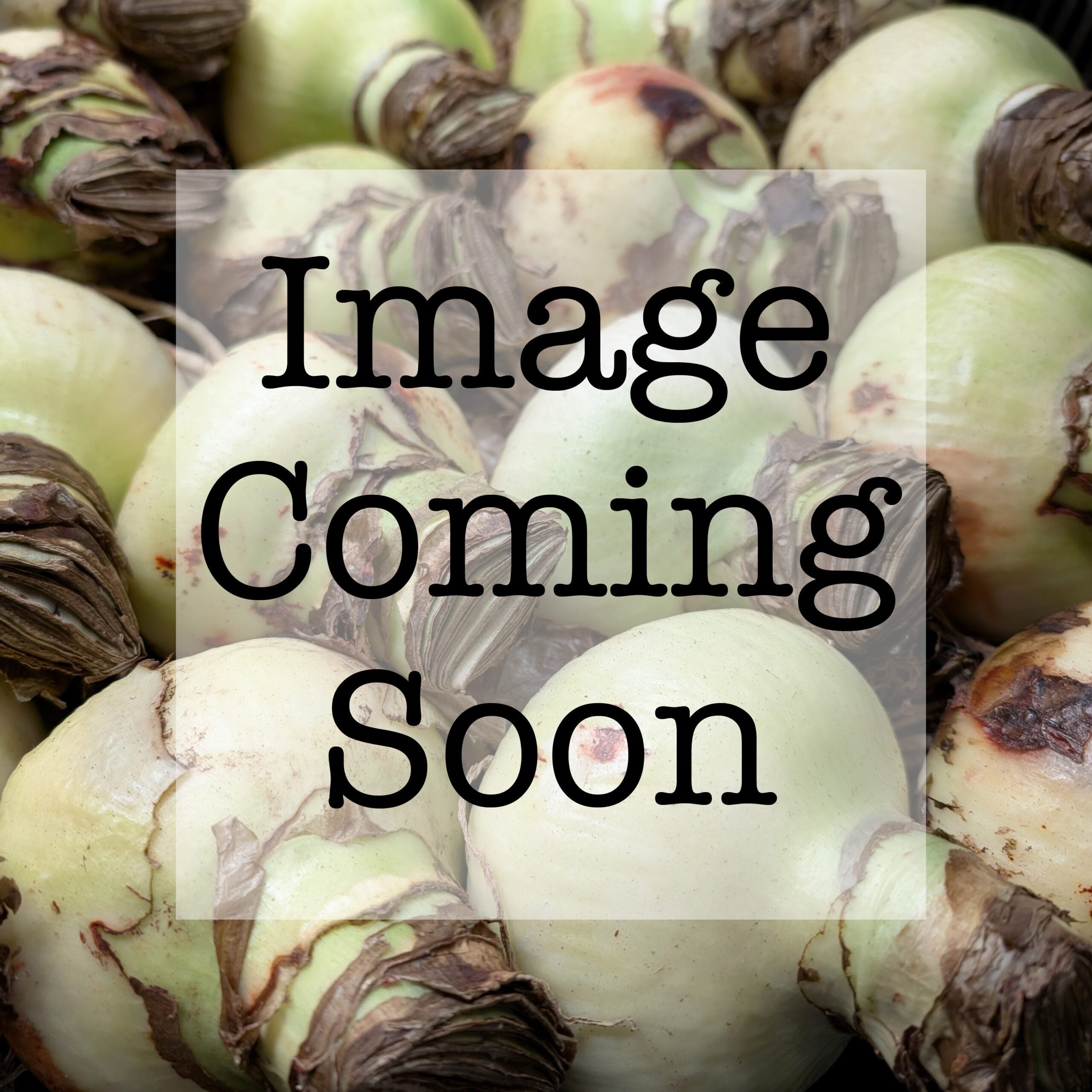 Some Bulb & Blossom selections are too new to have images, but we're working on it! Check back soon to get a glimpse of this new arrival.