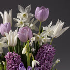 The Lavender Ice Mixed Bulb Garden features white and light purple tulips, daffodils, hyacinths, and snowdrops beautifully arranged against a simple gray background.