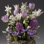 The Lavender Ice Mixed Bulb Garden displays white daffodils, pale purple tulips, lilac hyacinths, and purple crocuses arranged in moss for a stunning springtime centerpiece.