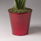 Metallic Red Tin Pot Cover